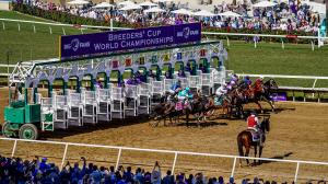 Breeders’ Cup, Del Mar, horse racing, stakes, trifecta, post position, post parade, morning line, exacta, furlong, win, place, show, handicapping, betting, front-runner, pace, closer, stalker, connections, across the board, sire, dam, breeding 